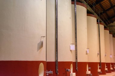 İtalya 'da modern şarap üretimi, şarap fermantasyonu için beton tanklar...