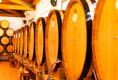 İtalyan şaraphanesinde farklı türde şarapları olan meşe fıçıları olan mahzenler, şarap tatma ve satışı