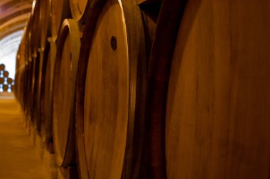 Eski meşe fıçıları olan eski şarap mahzeni, İtalya, Sicilya, Marsala 'da güçlendirilmiş kuru veya tatlı marsala şarabı üretimi