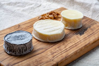 Assortment of French soft goat cheeses, Chevre Cendre, Cabecou Du Perigord and Chevre De Dordogne served on olive tree board close up clipart