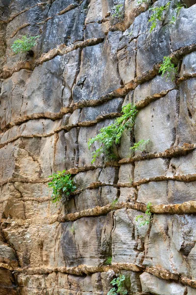 Fondo Abstracto Con Textura Roca Mineral Color Dorado Plantas Verdes — Foto de Stock