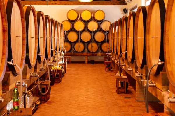 Κελάρι Δρύινα Βαρέλια Διαφόρων Τύπων Κρασιού Στο Ιταλικό Οινοποιείο Γευσιγνωσία — Φωτογραφία Αρχείου