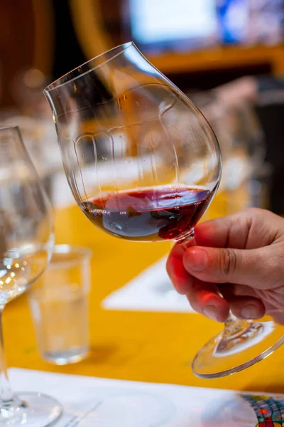 Professional wine tasting, sommelier course, looking at red dry wine in wine glass close up