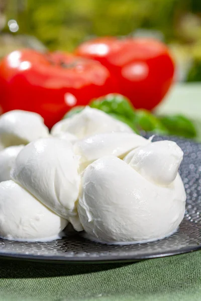 Torsadé Pour Former Une Treccia Mozzarella Italien Fromage Pâte Molle — Photo