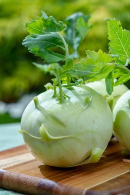 Organik çiftlikten taze taze taze biyo-beyaz lahana kohlrabi kafaları, yaklaşın.