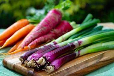 Bir demet taze mor soğan, kırmızı uzun turp ve havuç, yeni sağlıklı sebze hasadı yakın çekim