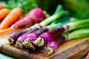Bir demet taze mor soğan, kırmızı uzun turp ve havuç, yeni sağlıklı sebze hasadı yakın çekim