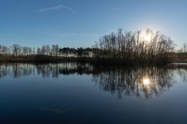 Ayna ormanı gölü kışın güneşli bir günde yansıyor Kuzey Brabant, Hollanda 'da Kempen bölgesi