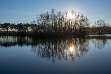 Ayna ormanı gölü kışın güneşli bir günde yansıyor Kuzey Brabant, Hollanda 'da Kempen bölgesi