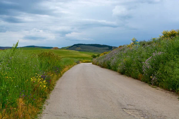 Landschaftlich Schöne Kleine Bergstraße Mit Bunten Wildblumen Zwischen Dörfern Zentrum — Stockfoto