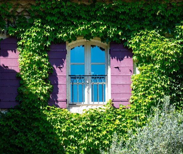 Antigua Casa Provenzal Acogedora Con Jardín Lleno Flores Colores Día — Foto de Stock