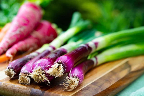 Bunches of fresh purple green onions, red long radish and carrots, new harvest of healthy vegetables close up
