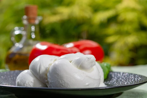 Verdreht Einen Zopf Treccia Mozzarella Italienischen Weichkäse Mit Frischem Basilikum — Stockfoto