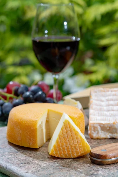 Colección Quesos Franceses Riche Saveurs Amarillo Vieux Pane Peche Des — Foto de Stock