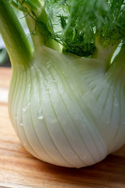 Friska Vegetabiliska Kost Färsk Florens Fänkål Lökar Närbild — Stockfoto