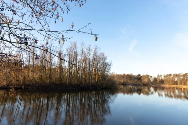 Espejo Lago Bosque Con Reflejo Invierno Día Soleado Kempen Regio — Foto de Stock