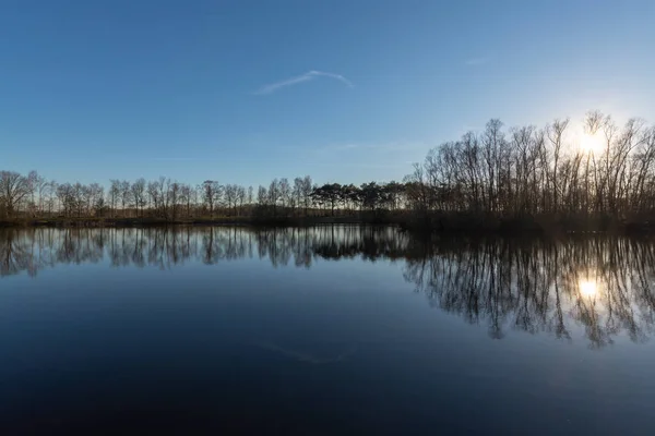 Espejo Lago Bosque Con Reflejo Invierno Día Soleado Kempen Regio — Foto de Stock