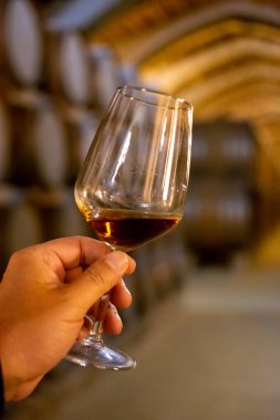 Marsala, Sicilya, İtalya 'da eski meşe fıçılarıyla şarap mahzeninde güçlendirilmiş veya tatlı marsala şarabı tatmak şarap kadehiyle şarap içmek.