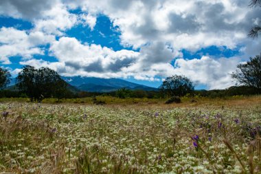 İlkbaharda İtalya 'nın Sicilya adasının doğu kıyısındaki Etna Dağı etkin stratovolcano manzarası