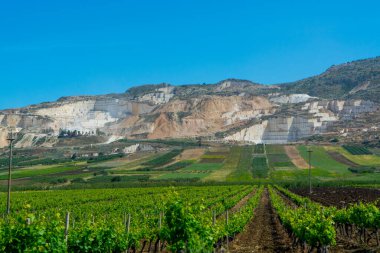 Perlato ve Perlatino 'nun Sicilya hafif biege mermeri, mermer ocakları ve Trapani, Sicilya, İtalya yakınlarındaki üzüm bağlarıyla birlikte çıkarılması