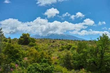 İtalya 'nın Sicilya adasının doğu kıyısında Aktif Stratovolcano Dağı' ndan Flora