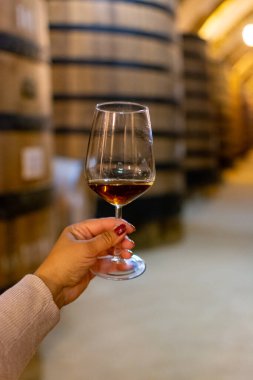 Marsala, Sicilya, İtalya 'da eski meşe fıçılarıyla şarap mahzeninde güçlendirilmiş veya tatlı marsala şarabı tatmak şarap kadehiyle şarap içmek.