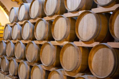 Eski meşe fıçıları olan eski şarap mahzeni, İtalya, Sicilya, Marsala 'da güçlendirilmiş kuru veya tatlı marsala şarabı üretimi