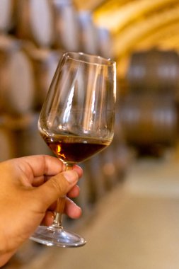 Marsala, Sicilya, İtalya 'da eski meşe fıçılarıyla şarap mahzeninde güçlendirilmiş veya tatlı marsala şarabı tatmak şarap kadehiyle şarap içmek.