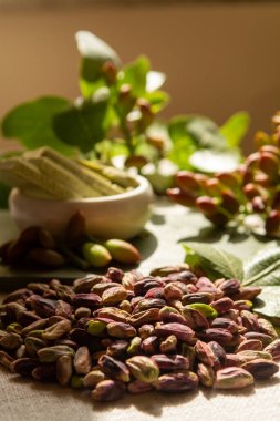Tatlı, narin, kokulu fındıklar, parlak yeşil renkli bront fıstıklar, İtalyan mutfağı için malzeme, dondurma, pasta, pesto