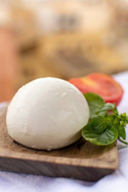 Peynir koleksiyonu, İtalyan mozzarella yumuşak peynir topu fesleğen ve domatesle servis edilen ahşap tahta üzerinde eski İtalyan kasabasında sarı evler arka planda.