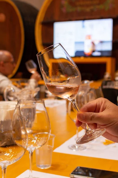 Professional wine tasting, sommelier course, looking at rose dry wine in wine glass close up