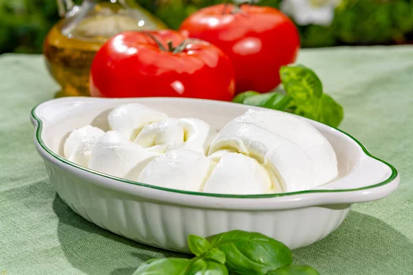 Verdreht Einen Zopf Treccia Mozzarella Italienischen Weichkäse Mit Frischem Basilikum — Stockfoto