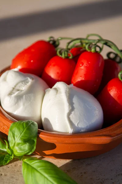 Colección Quesos Queso Blando Italiano Mozzarella Bolitas Servidas Con Tomates — Foto de Stock