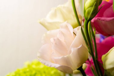 Çiçekli arka plan, bukette taze yakın plan çiçekler, makro fotoğraf, kopyalama alanı