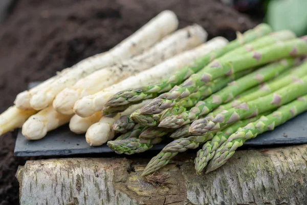 New Harvest High Quality White Green Asparagus Vegetable Plant Farm — Stock Photo, Image