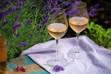 Aşk Provence, romantik piknik iki bardak soğuk Fransız şarabı ve mor lavanta çiçekleriyle güneşli yaz bahçesinde