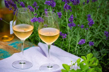 Aşk Provence, romantik piknik iki bardak soğuk Fransız şarabı ve mor lavanta çiçekleriyle güneşli yaz bahçesinde