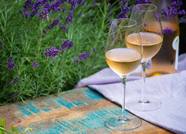 Aşk Provence, romantik piknik iki bardak soğuk Fransız şarabı ve mor lavanta çiçekleriyle güneşli yaz bahçesinde