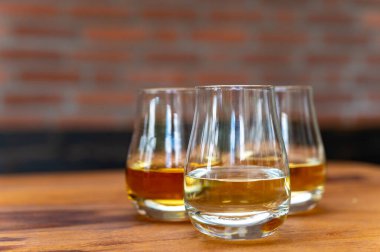 Geleneksel İngiliz evinde farklı viski içecekleri tatmak.