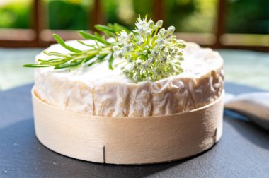 Fransız peynirleri koleksiyonu, Normandiya usulü beyaz küflü olgun Camembert inek sütü peyniri.