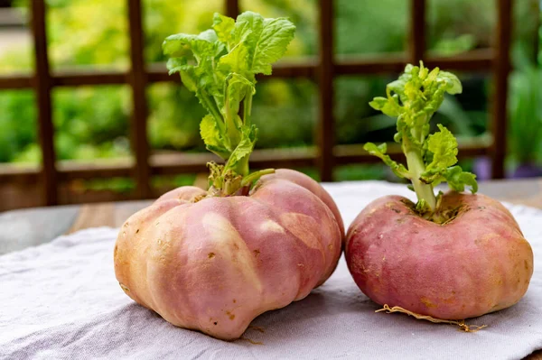 Erva Raiz Nabo Madura Fresca Pronta Para Cozinhar Perto — Fotografia de Stock