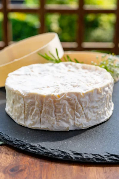 Collezione Formaggi Francesi Formaggio Mucca Camembert Stagionato Con Muffa Bianca — Foto Stock