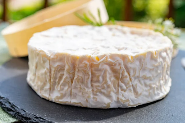 法国奶酪系列 来自诺曼底的一块成熟的迷迭香牛奶奶酪和白色霉菌 — 图库照片