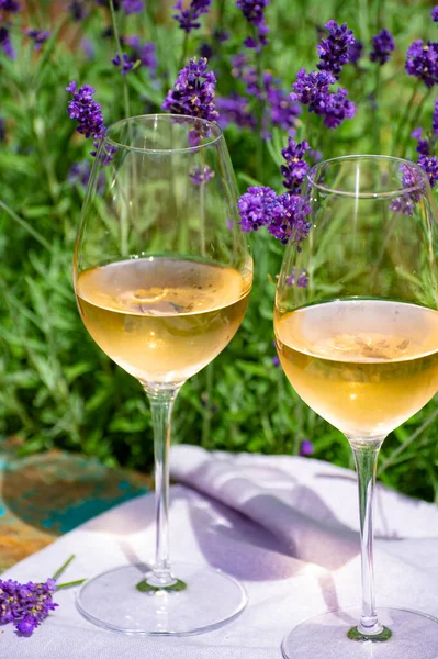 Amor Provence Piquenique Romântico Com Dois Copos Vinho Rosa Francês — Fotografia de Stock