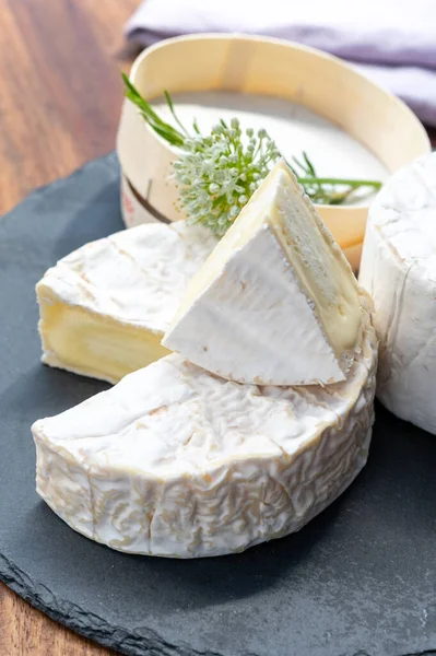 Coleção Queijos Franceses Pedaços Camembert Bleu Leite Vaca Queijo Azul — Fotografia de Stock