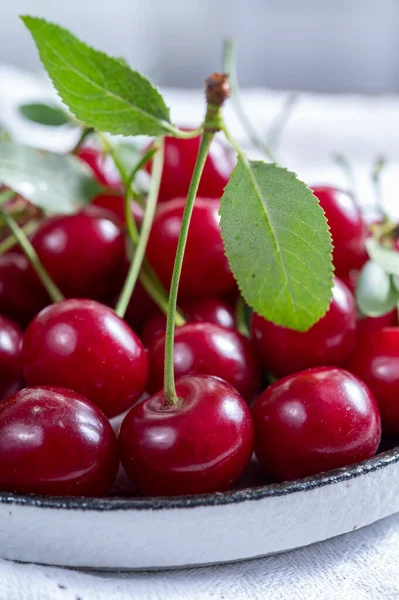 Nouvelle Récolte Cerises Acides Juteuses Rouges Fruits Baies Kriek — Photo