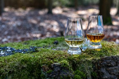 Islay Adası 'ndan viski tatmak, İskoçya' daki tüm viskilerin en yoğun tatlandırıcısı yeşil yosun ve eski ağaç kökü.