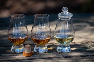 Islay Adası 'ndan viski tatmak, İskoçya' daki viskilerin en yoğun tatlandırıcısı güneşli bir günde eski bahçe masasında.