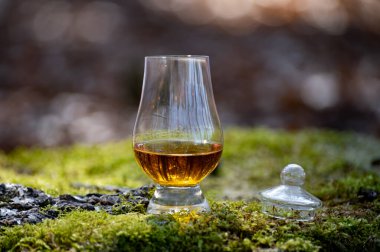 Islay Adası 'ndan viski tatmak, İskoçya' daki tüm viskilerin en yoğun tatlandırıcısı yeşil yosun ve eski ağaç kökü.