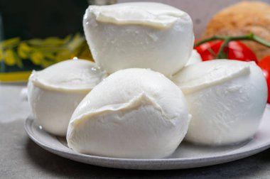 Campania 'dan taze el yapımı yumuşak İtalyan peyniri, inek sütünden yapılmış beyaz bufalo peyniri.